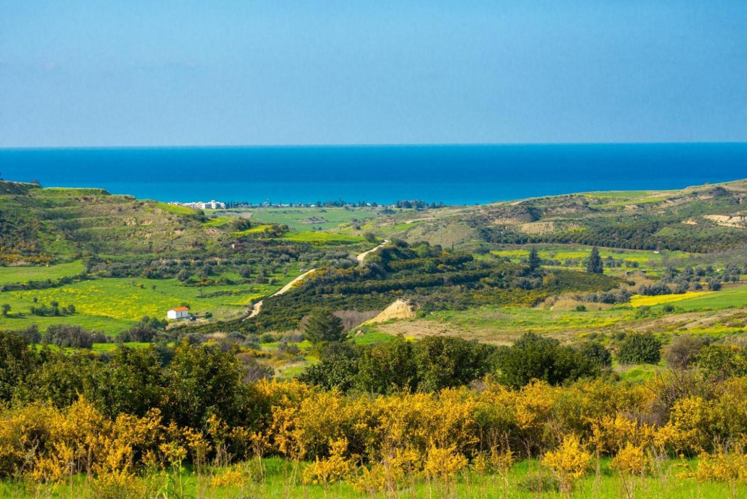 Villa Rallo Paphos Exteriör bild
